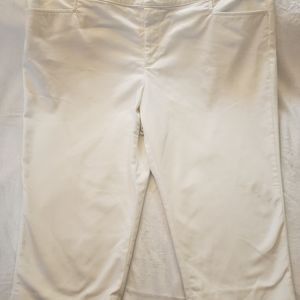 Chaps pants size 24